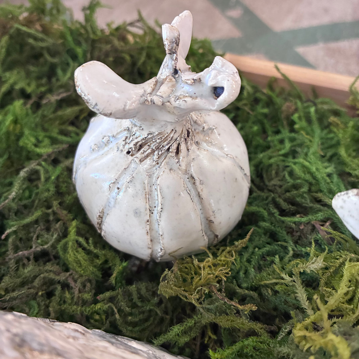 Medium Garlic Bulb