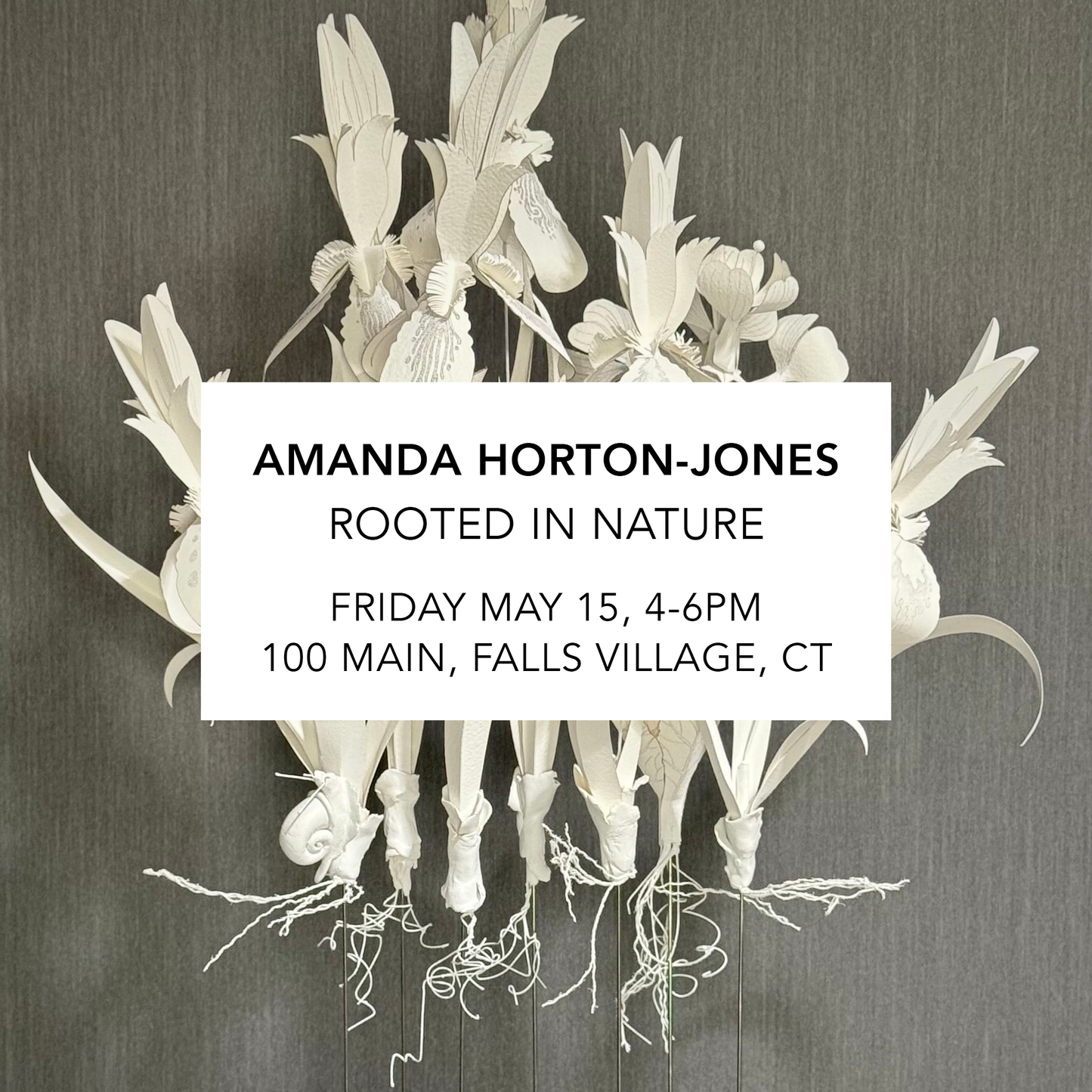 Amanda Jones: Rooted in Nature