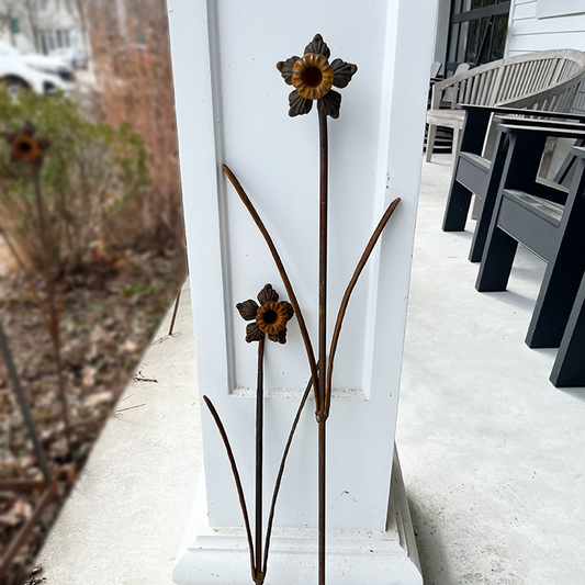 Daffodil Garden Stake - Tall