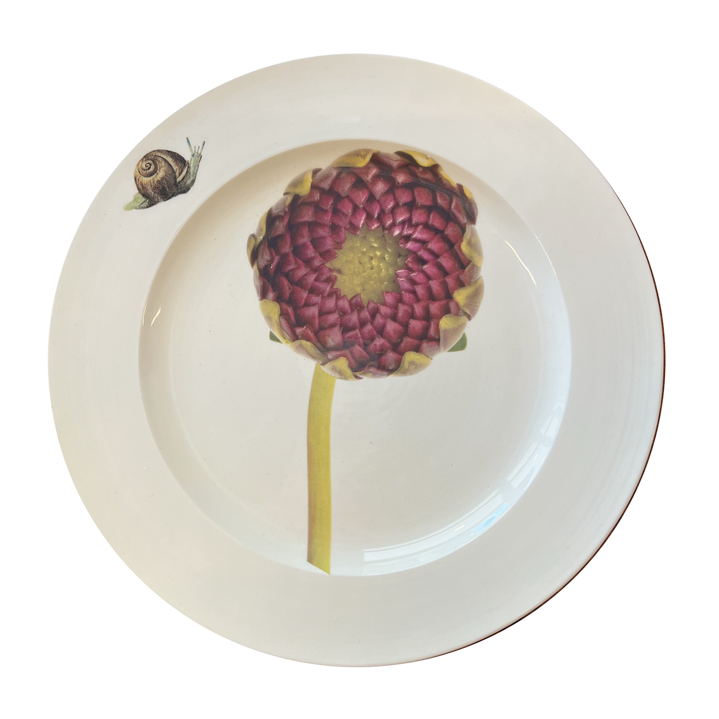 Dahlia Salad Plate