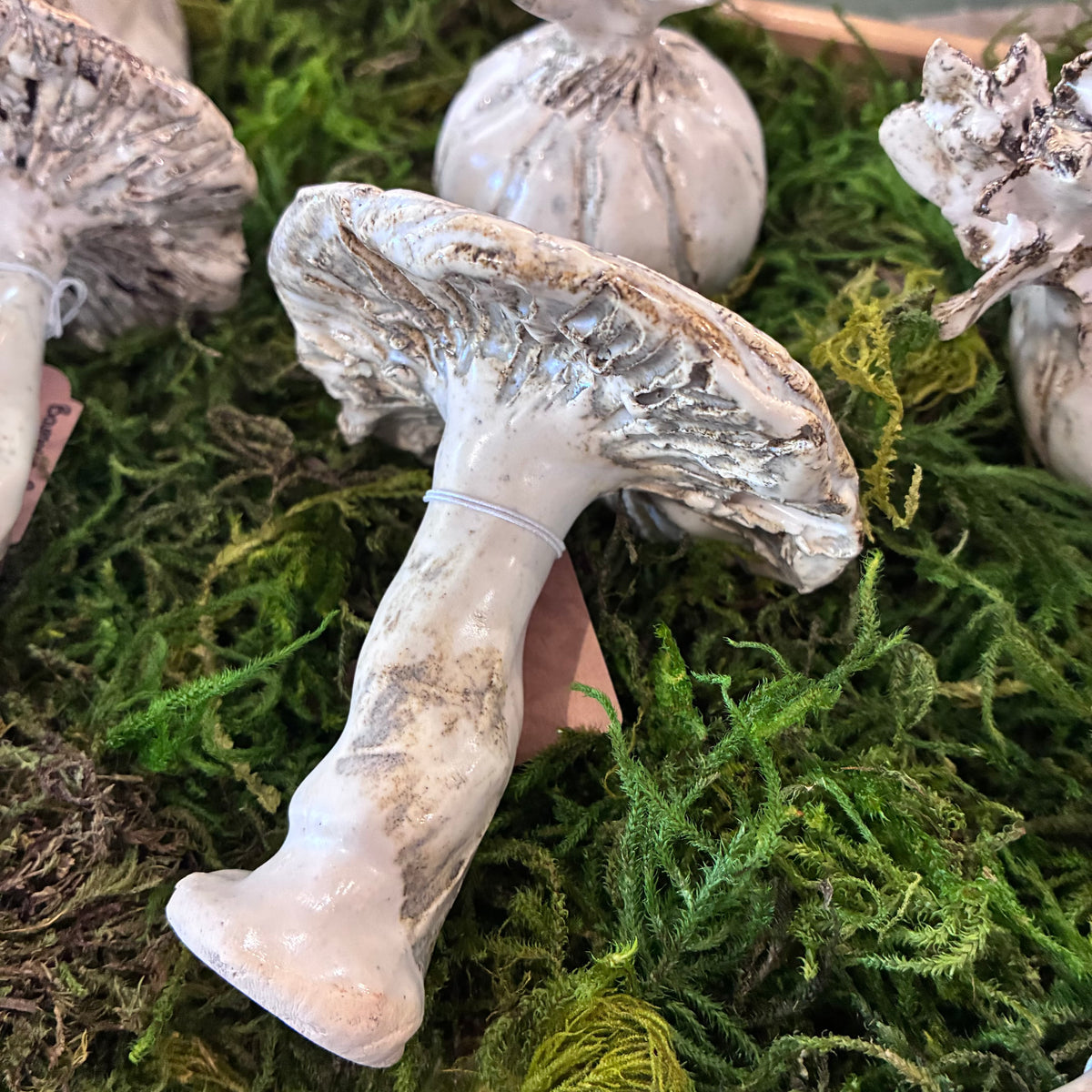 Ceramic Mushroom