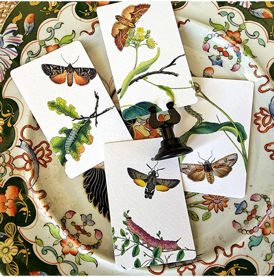 "Moth & Twig" Place Cards