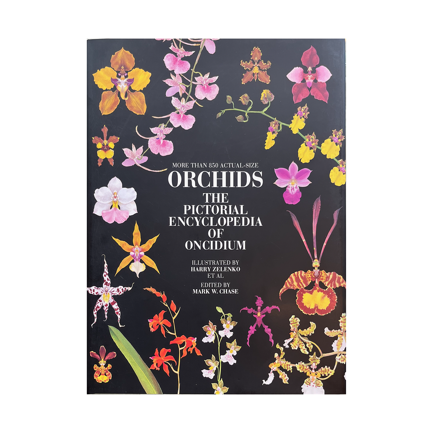 Orchids: The Pictorial Encyclopedia Of Oncidium – 100 Main Orchids: The Pictorial Encyclopedia Of Oncidium – 100 Main