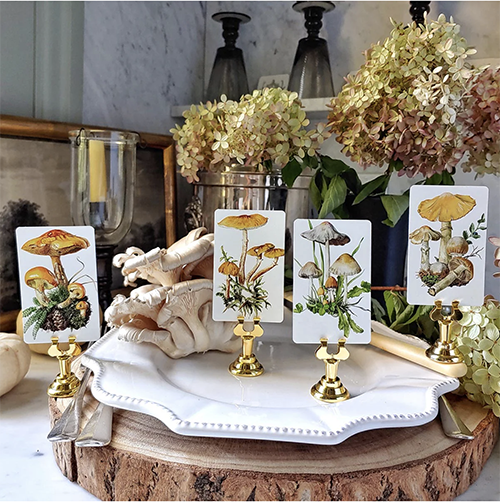 "Saffron Parason Mushrooms" Place Cards