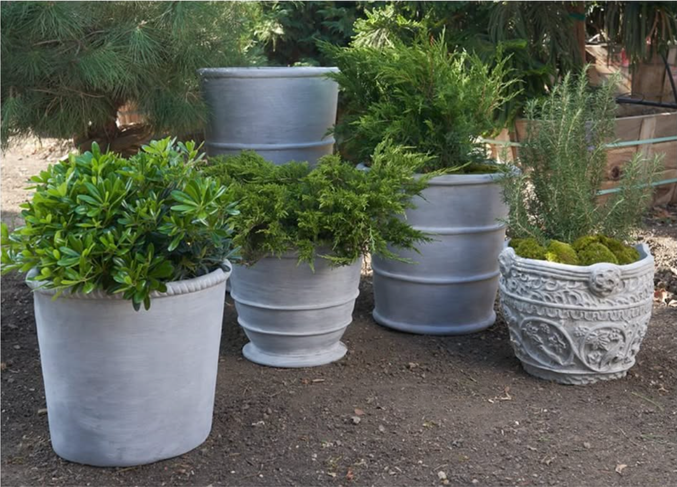 New York Botanical Planter