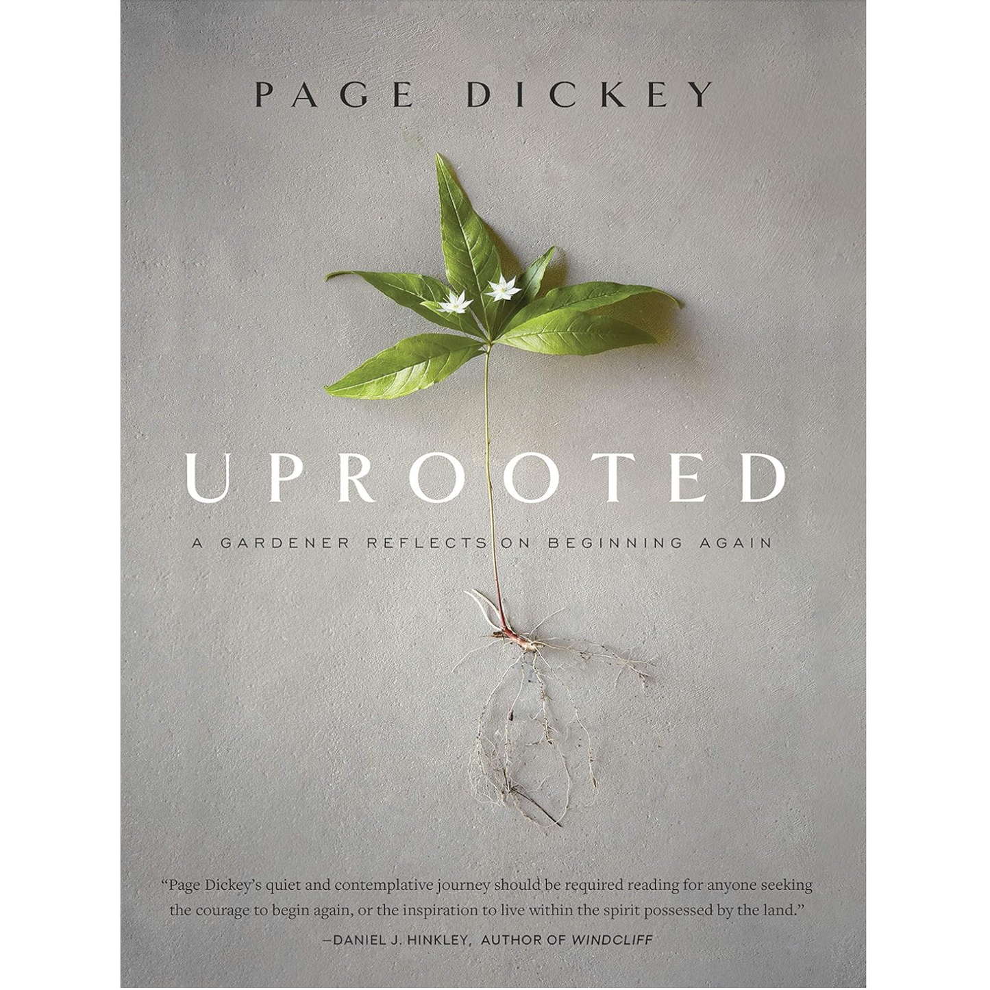 Uprooted: A Gardener Reflects on Beginning Again