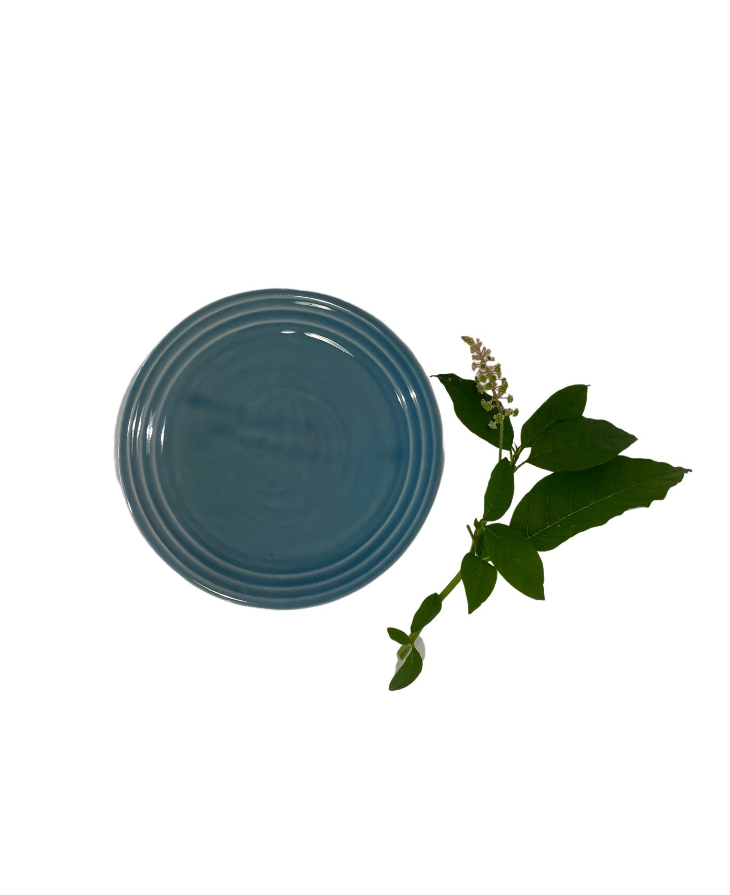 Dark Slate Gray Stepped Plate Ben Evans