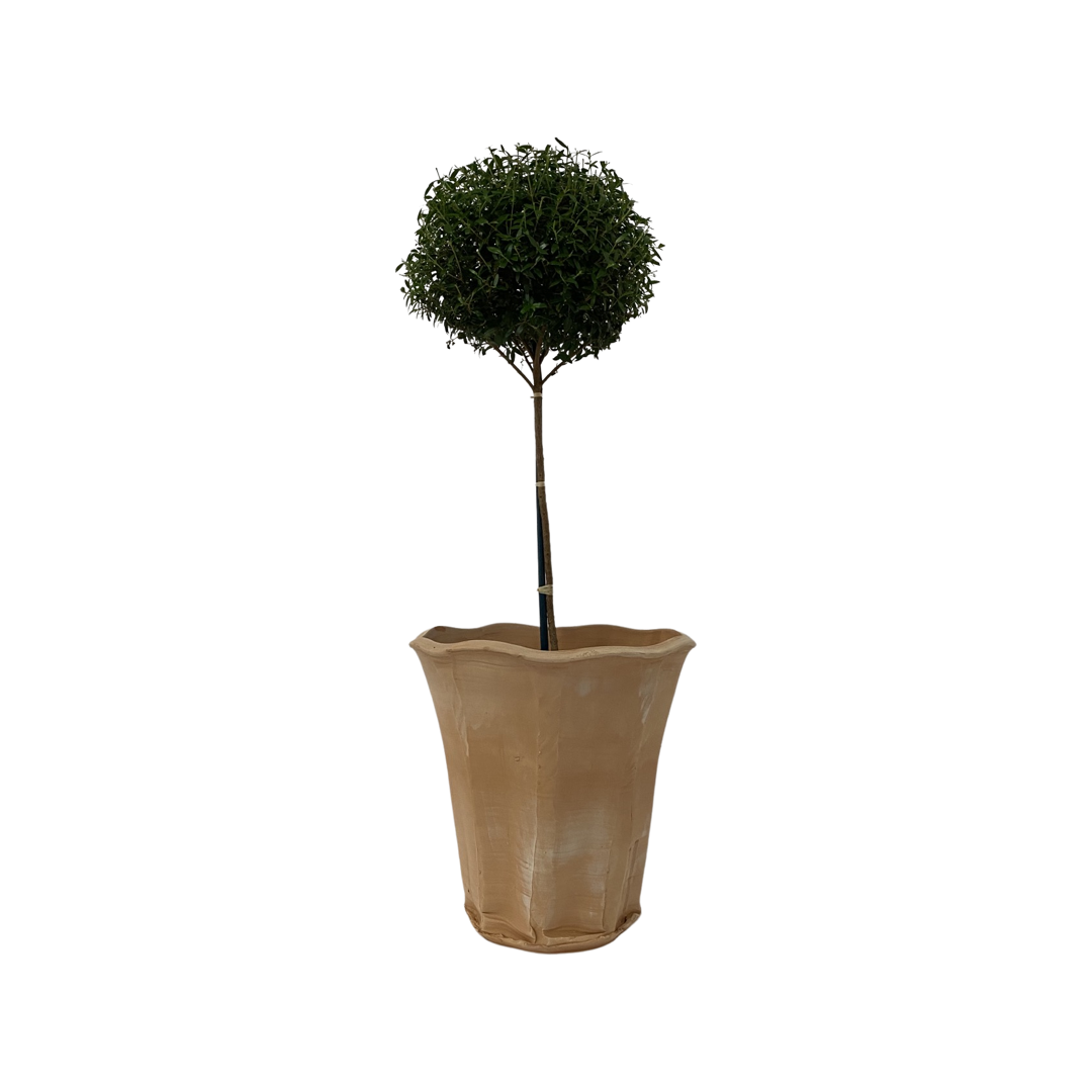 Dim Gray Garden Pot - 20 Pound Daniel Bellow