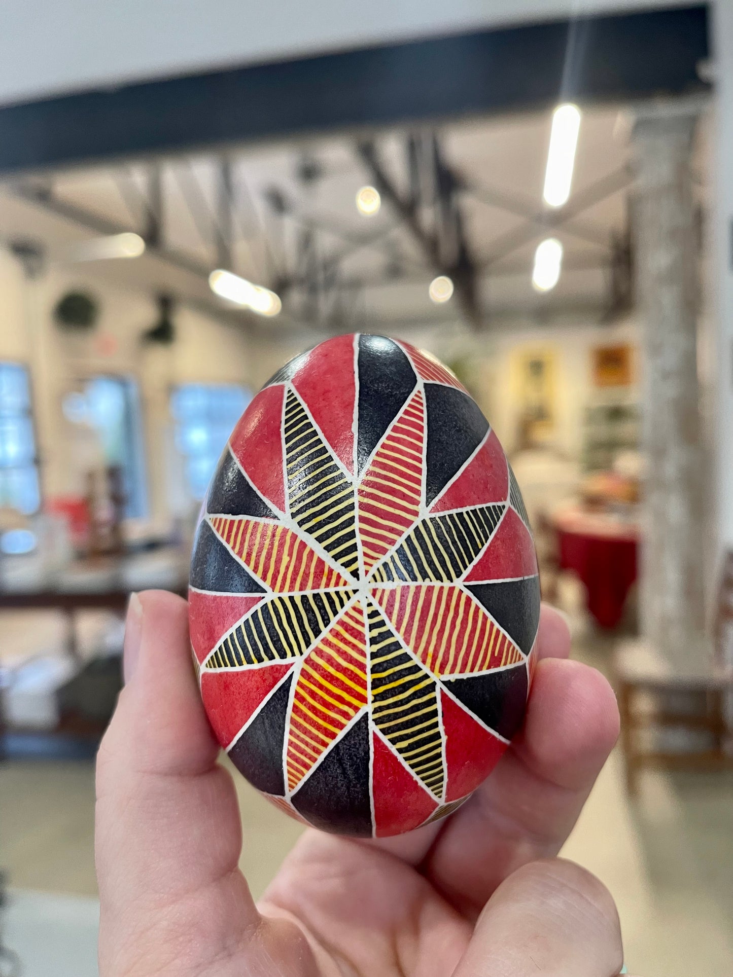 SCARLET AND EBONY STARBURST BLOWN GOOSE EGGSHELL