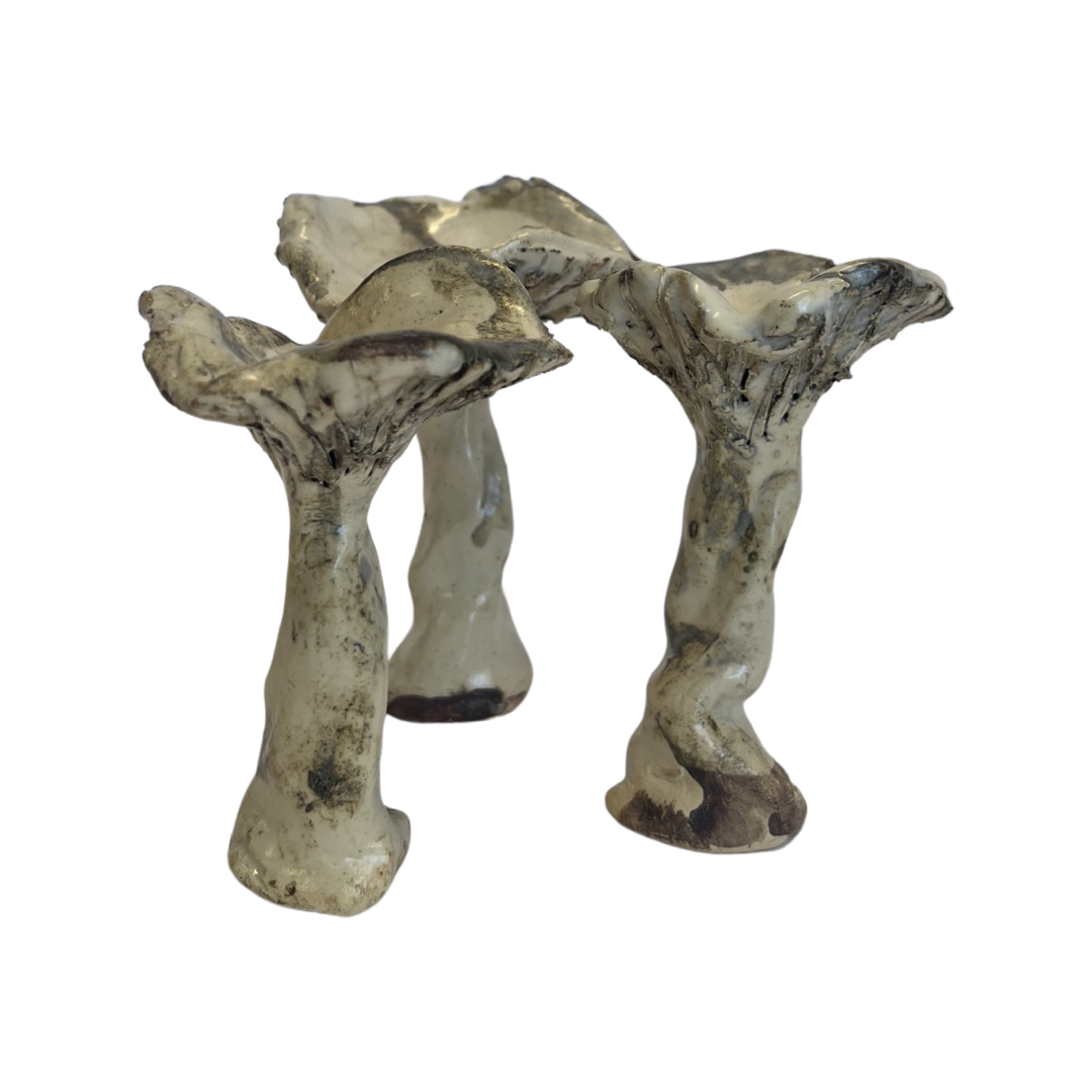 Dim Gray Small Mushroom SOUBY