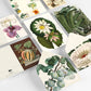White Smoke Botanical Correspondence Set 100 Main