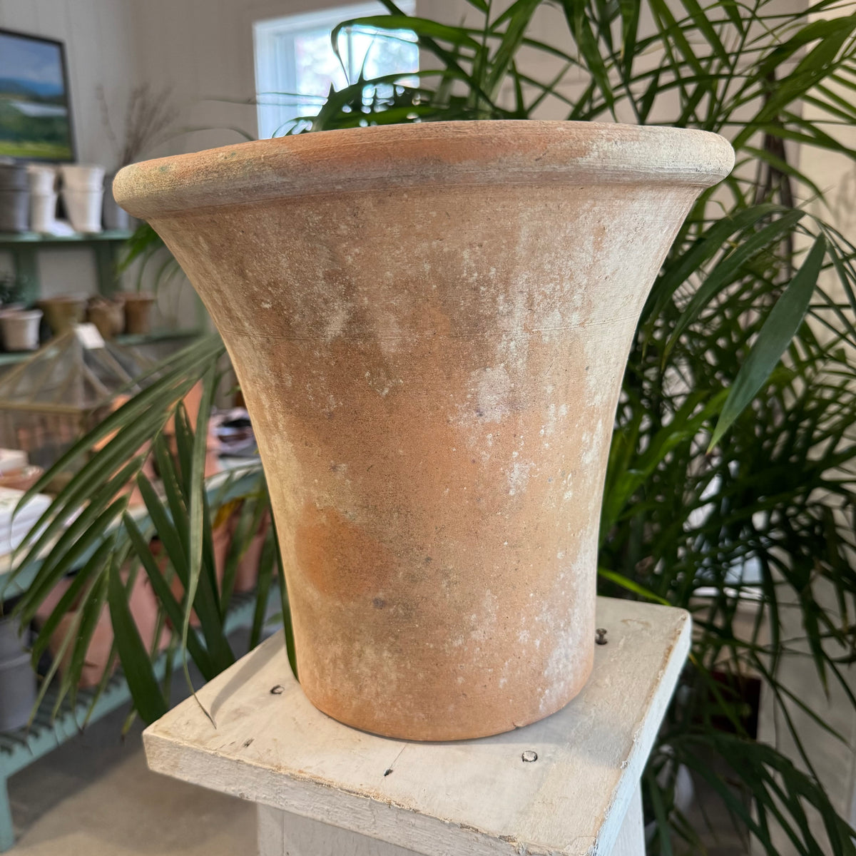 Dark Slate Gray MOSS 10" ENGLISH PLANTER 100 Main