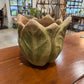 Saddle Brown Clematis Planter 100 Main