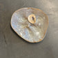 The Half Shell Oyster Plate Mini