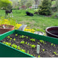 Herb, Flower, and Veggie Plant Markers