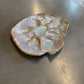 The Half Shell Oyster Plate