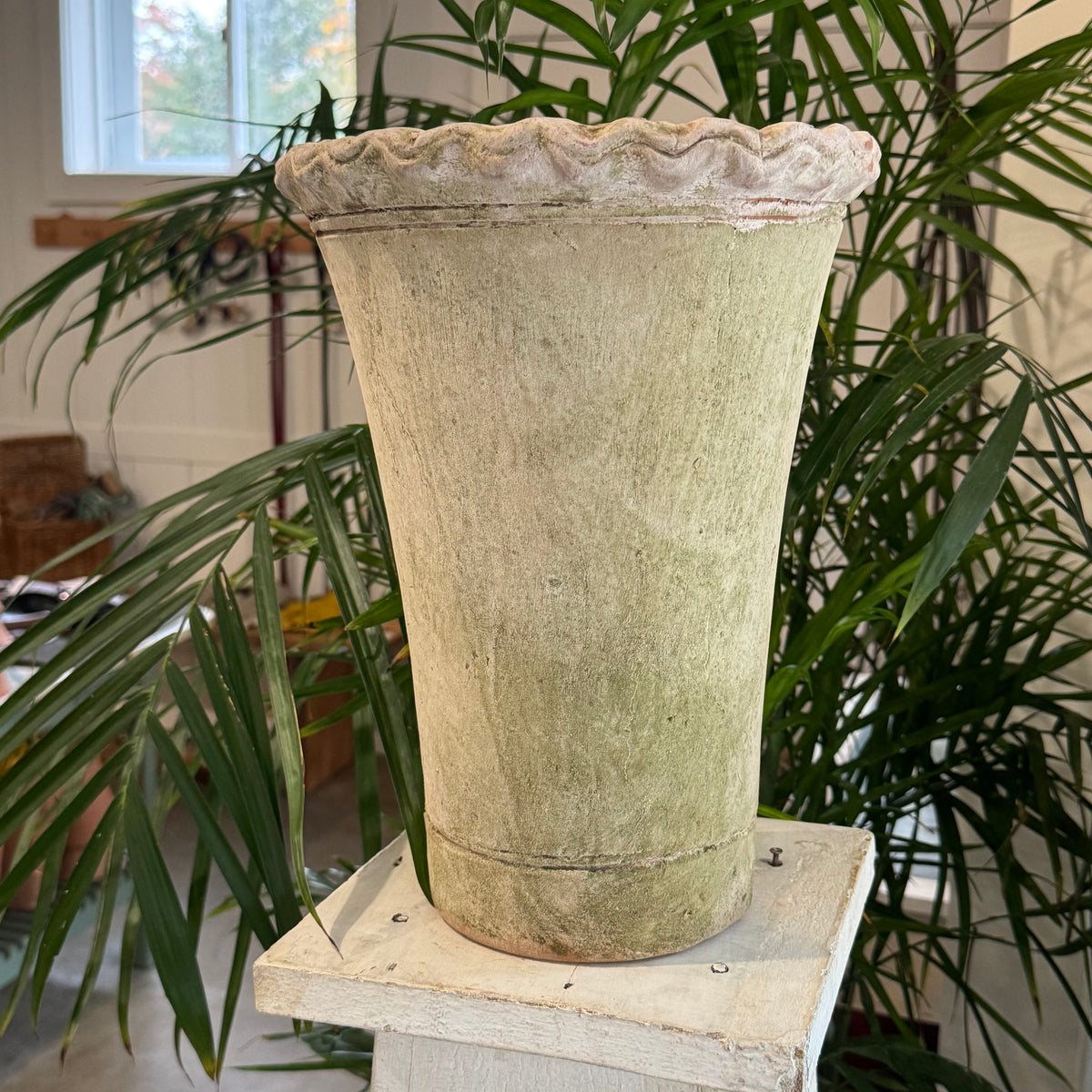 Rosy Brown 8" Piecrust Nursery Planter 100 Main