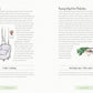 A Year of Garden-Inpired Living by Linda Vater