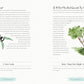A Year of Garden-Inpired Living by Linda Vater