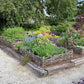 The Elegant and Edible Garden by Linda Vater