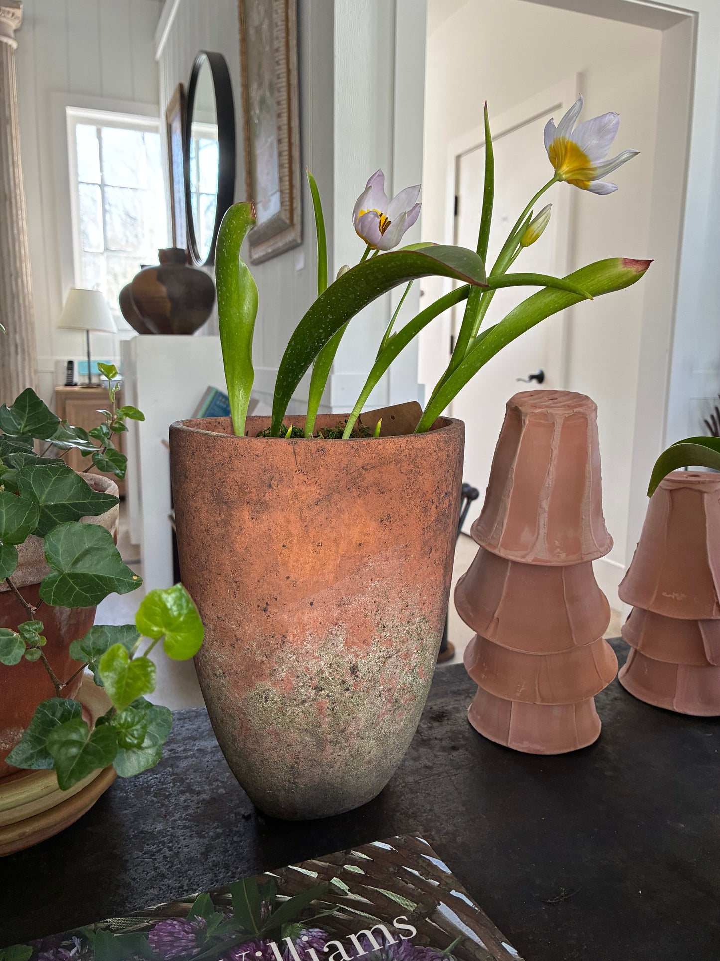 Tall Oval Terra Cotta Pot