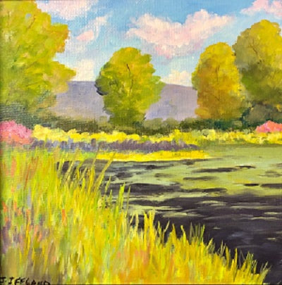 "Bantam Lake Cove"