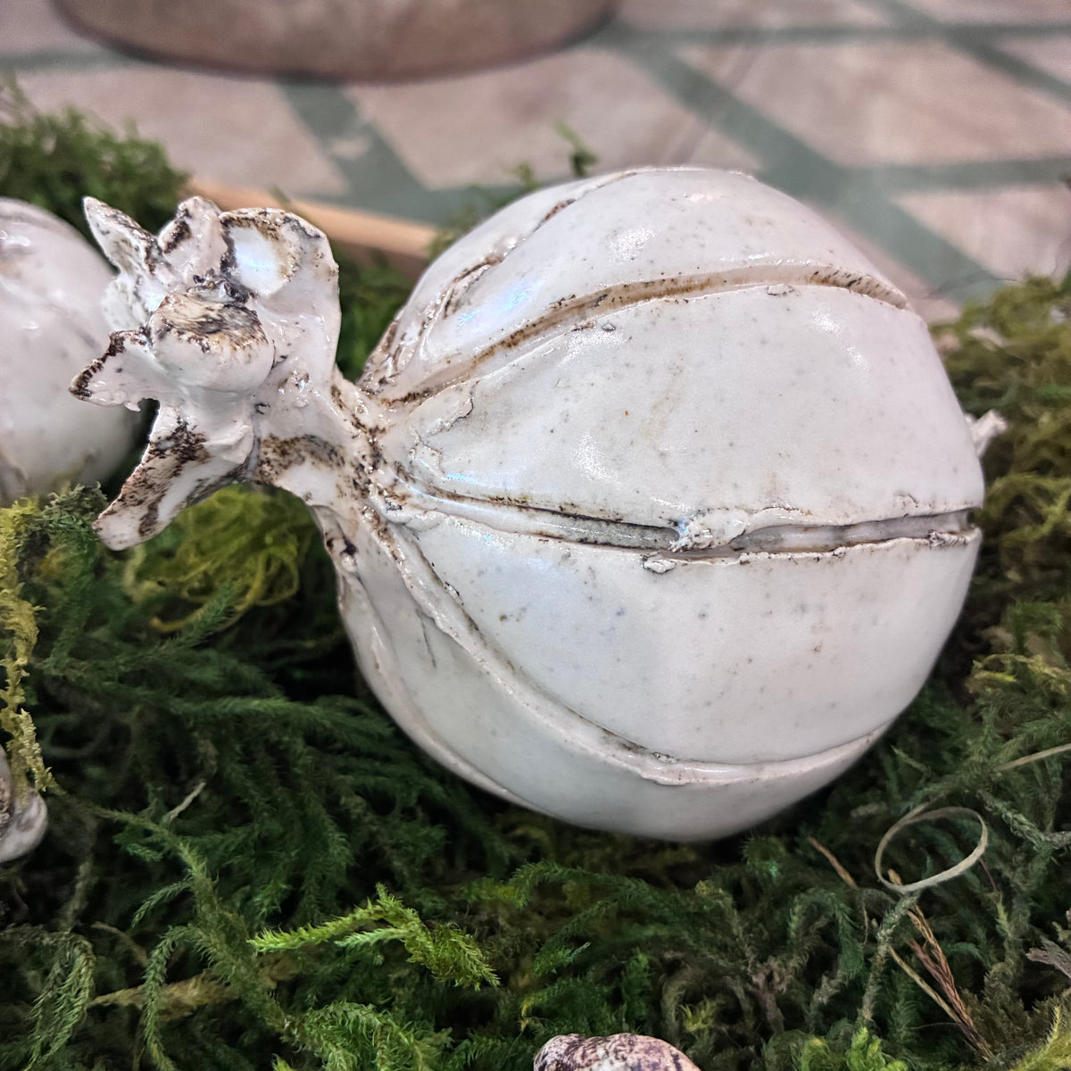 Large Garlic Bulb