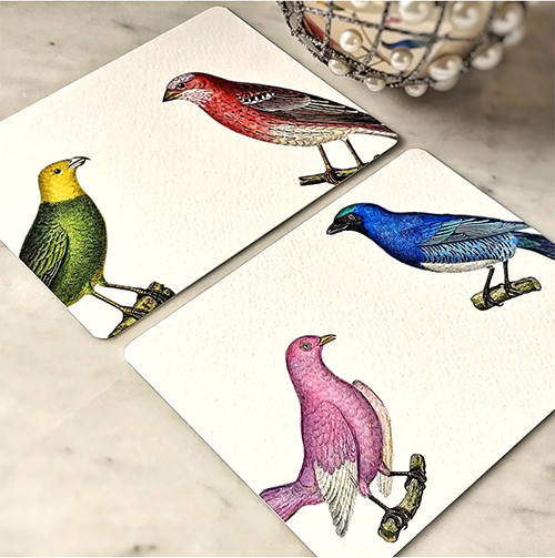 "Chromatic Cuckoo" Note Cards