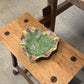 10 Portuguese Dishes & Large Matching Dish