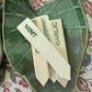 Herb, Flower, and Veggie Plant Markers