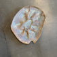 The Half Shell Oyster Plate