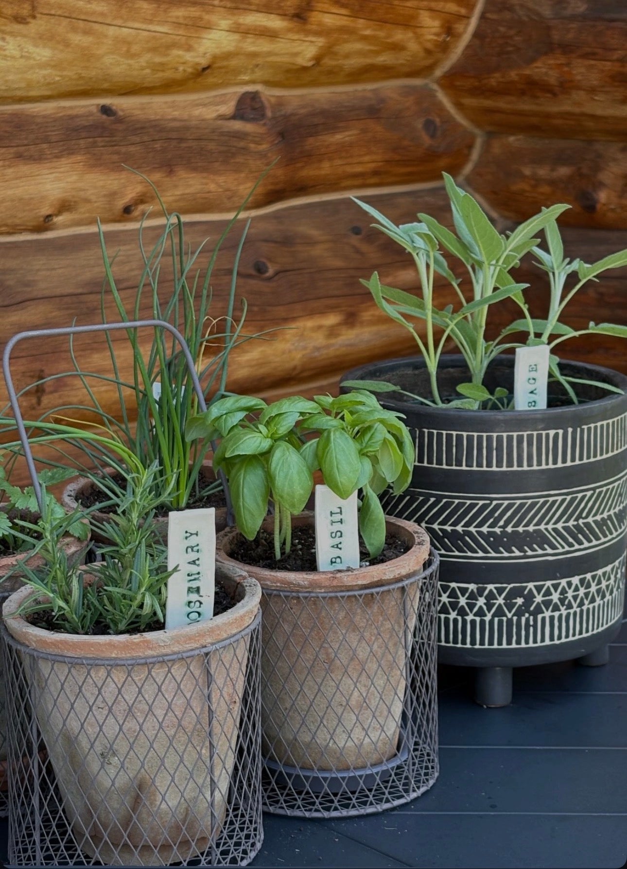 Herb, Flower, and Veggie Plant Markers