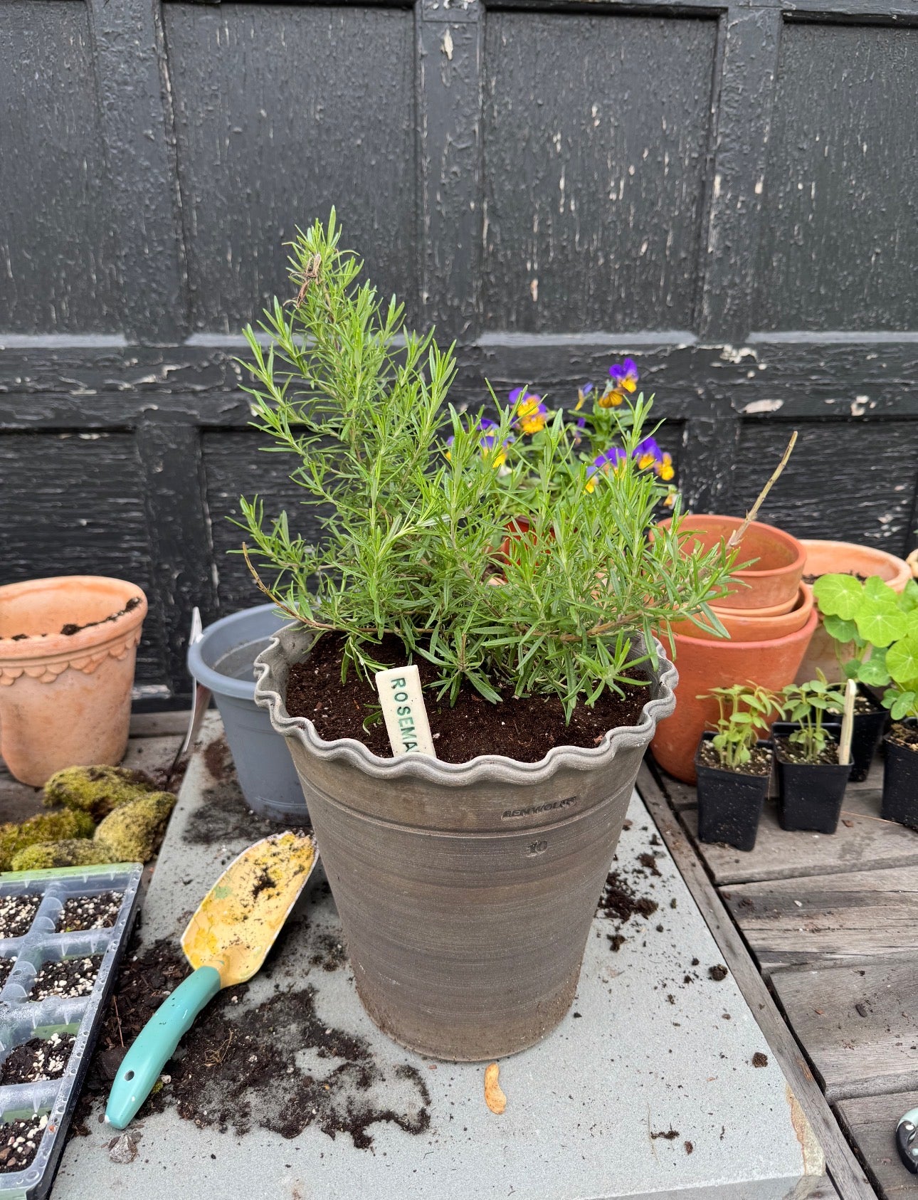 Herb, Flower, and Veggie Plant Markers