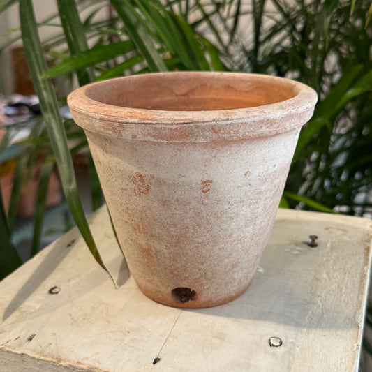 Dark Gray Moss Aged Victorian Pot Small 100 Main