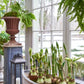 Handbuilt Curved Planter