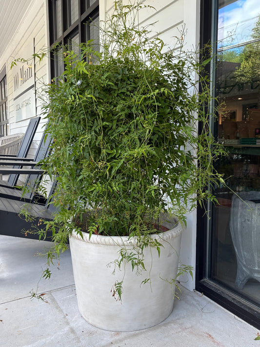 Rope Edged Cylinder Shaped Planter