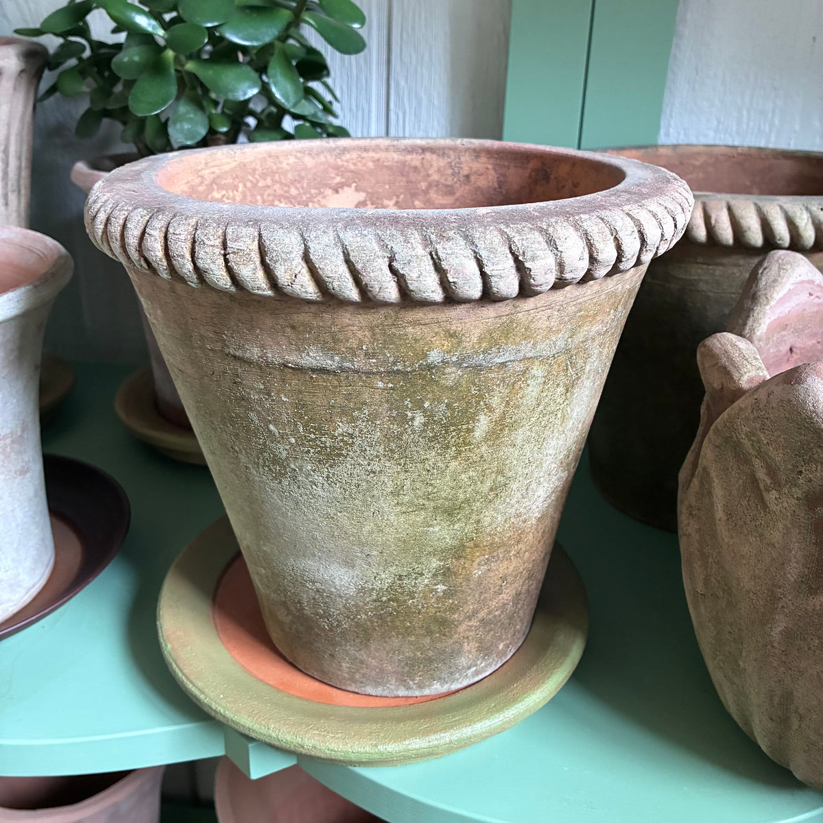 Dark Olive Green Mecate Planter 10" Campo De Fiori