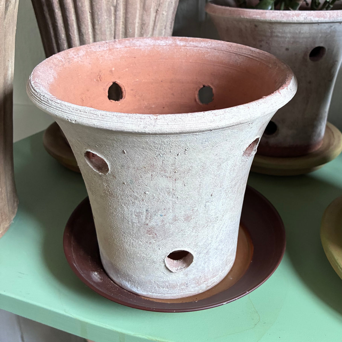 Light Green Moss Aged Orchid Planter - Medium Campo De Fiori