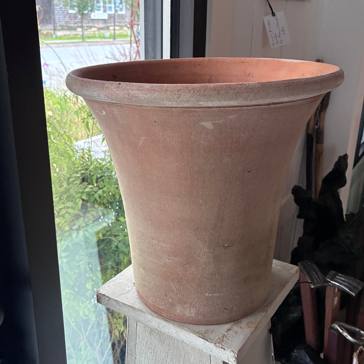 Black Moss Aged 12" English Planter Campo De Fiori