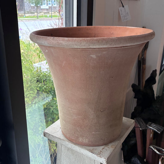 Black Moss Aged 12" English Planter Campo De Fiori