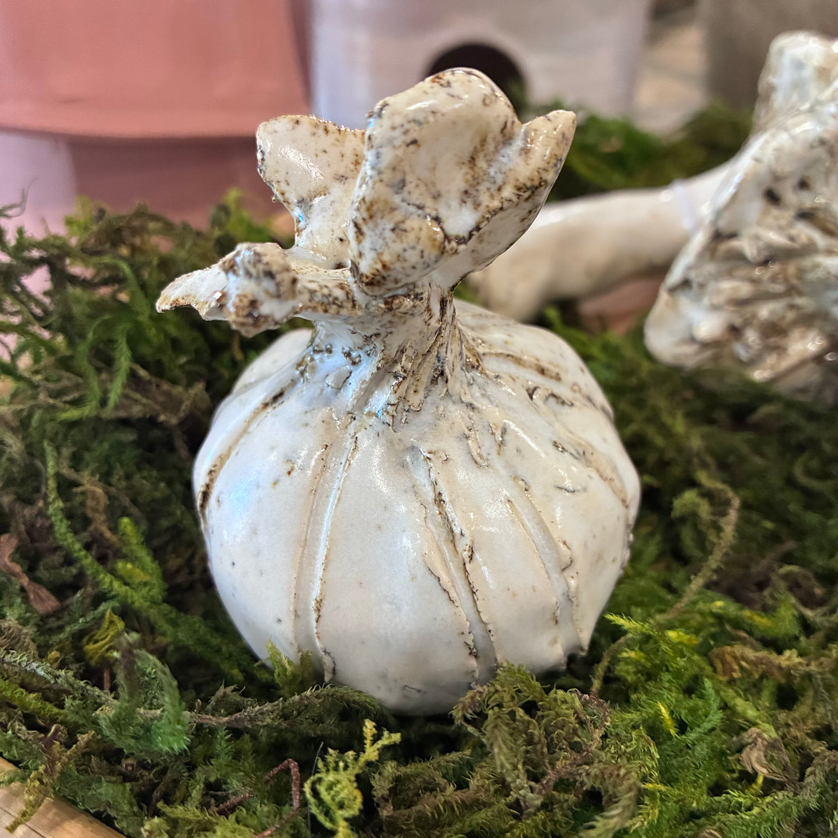 Medium Garlic Bulb