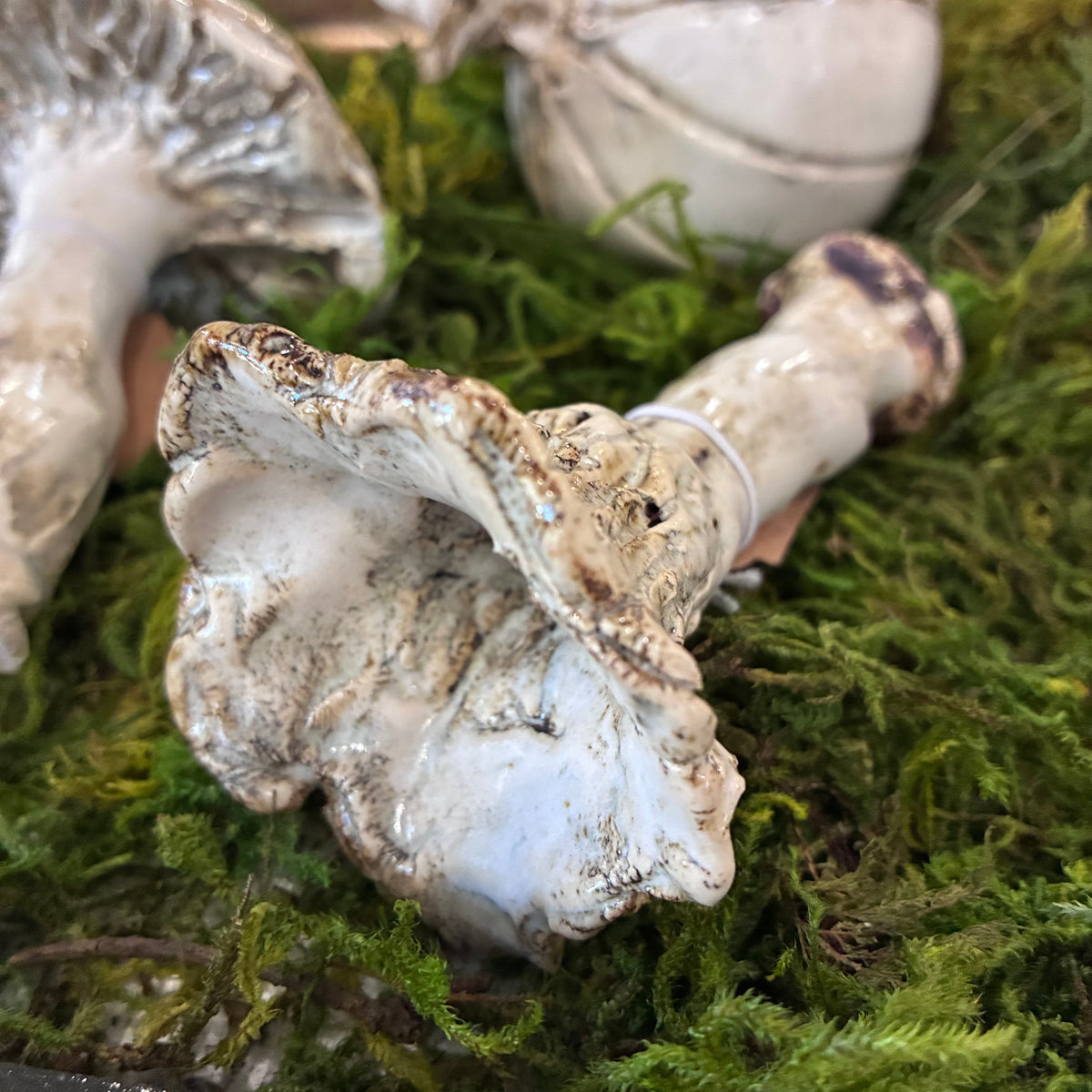 Ceramic Mushroom