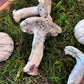 Ceramic Mushroom