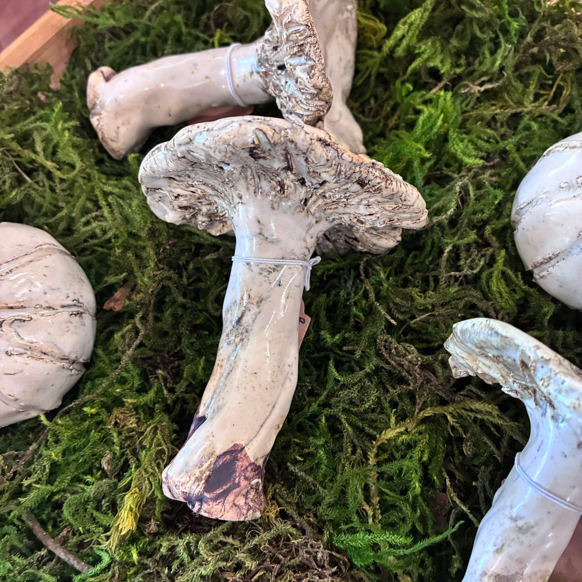 Ceramic Mushroom