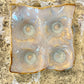 Egg Carton 4