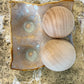Egg Carton 4