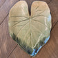 Elephant Ear Platter