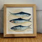 MEGAN RUCH FRAMED WATERCOLOR - FISH