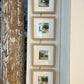 Framed Watercolor I