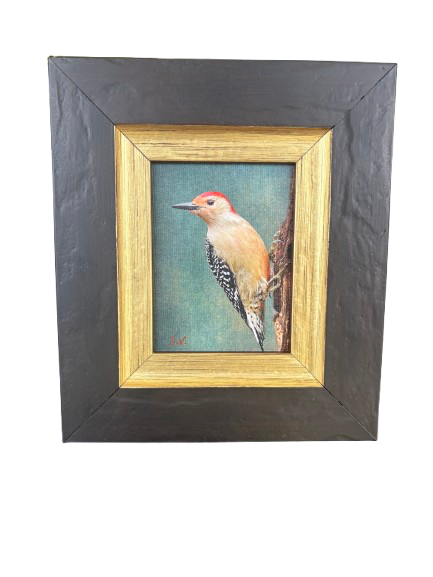 Fine Art Photography - Red Bellied Woodpecker
